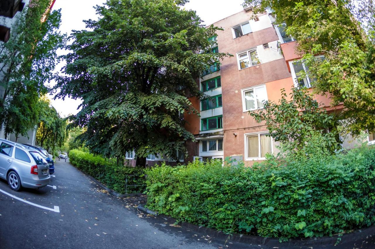 Apartament Family Rivulus 9 Baia Mare Exterior foto