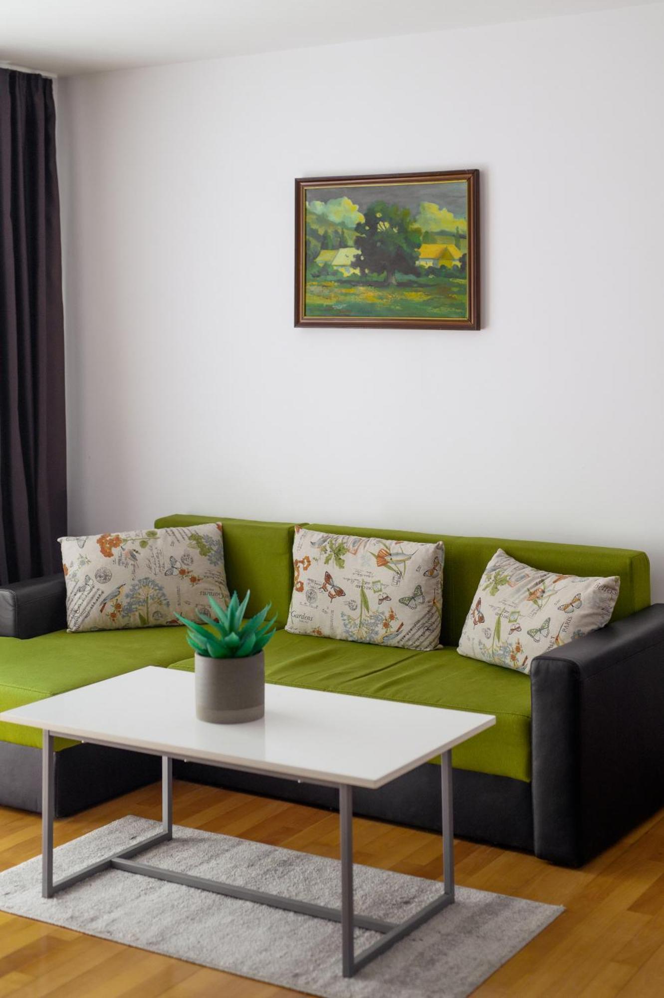 Apartament Family Rivulus 9 Baia Mare Exterior foto